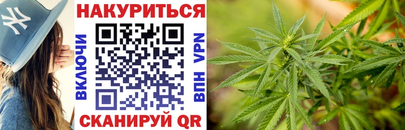 Купить где  Энгельс  Бошки марихуана ГИДРОПОН 